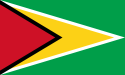 Kooperacyjna Republika Gujany - Flaga